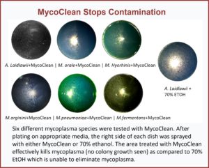 Myco MC RTU Disinfectant & Mold Control - Gal.